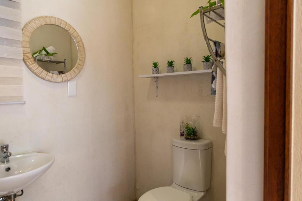 Mariu Upmarket Accommodation Νέλσπρουιτ Εξωτερικό φωτογραφία